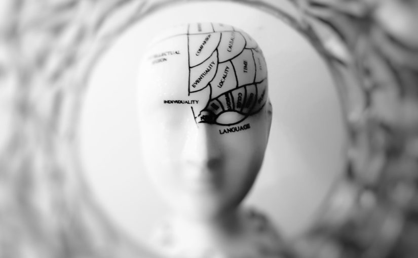 Recopilatorio de hilos sobre psicología cognitiva de la memoria y el aprendizaje, por @hruizmartin